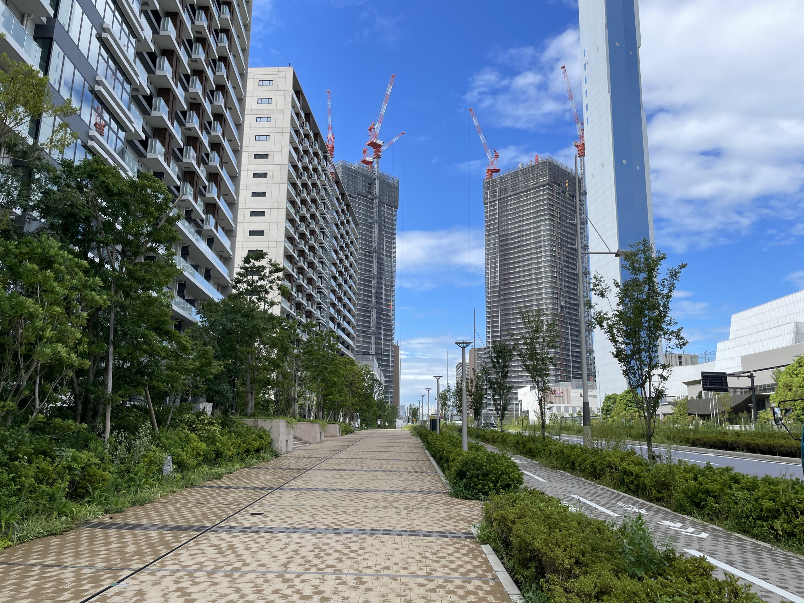 晴海フラッグ PORT VILLAGE側の歩道➁（はるみライフプラス）