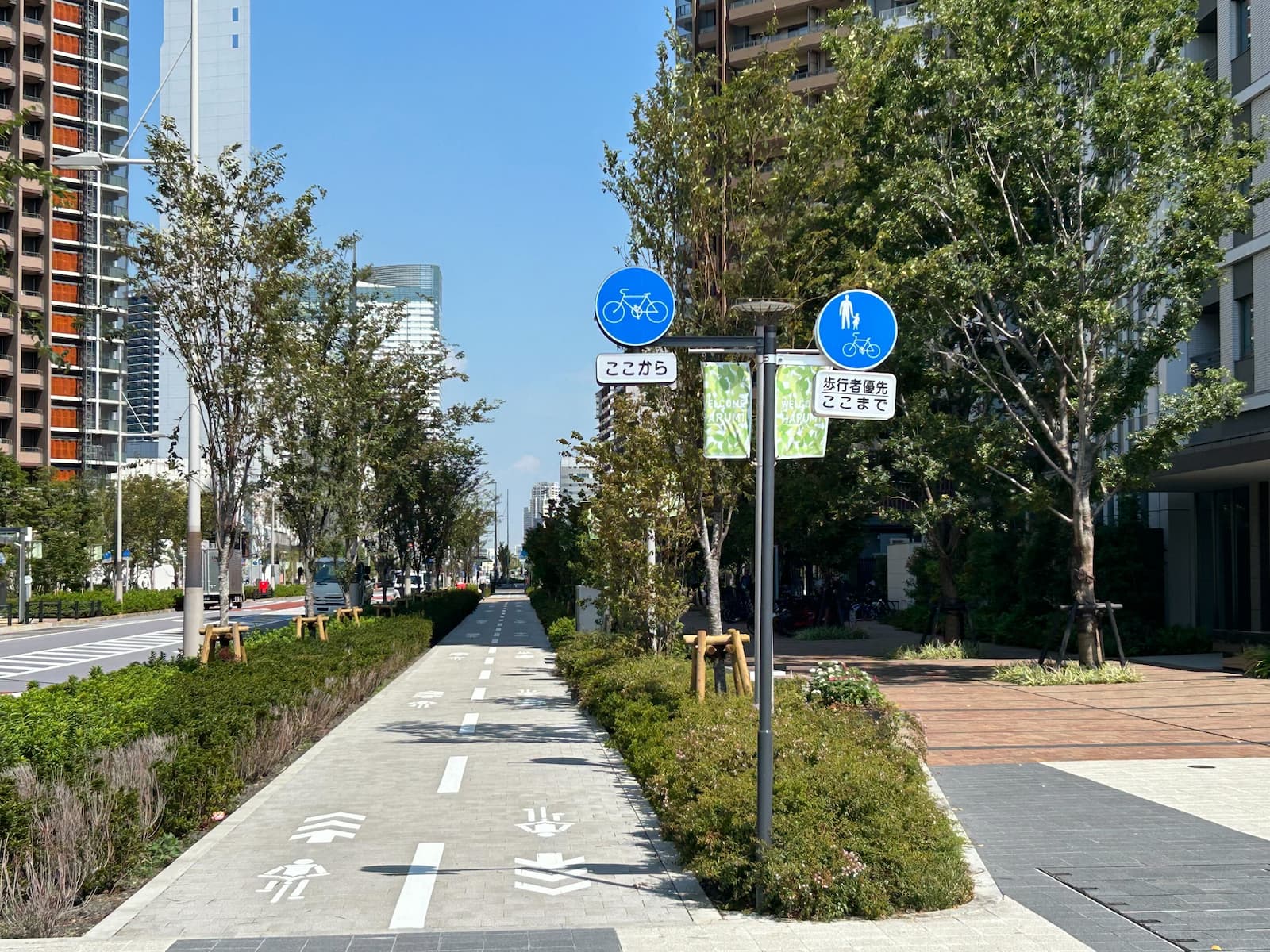 晴海フラッグ 周辺の歩道①（はるみライフ＋）