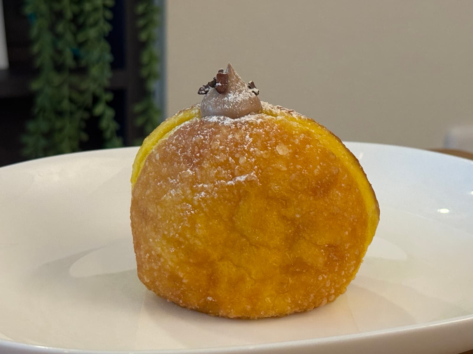 晴海フラッグ TRUFFLE DONUT CHOCOATE（チョコレート味）（はるみライフプラス）