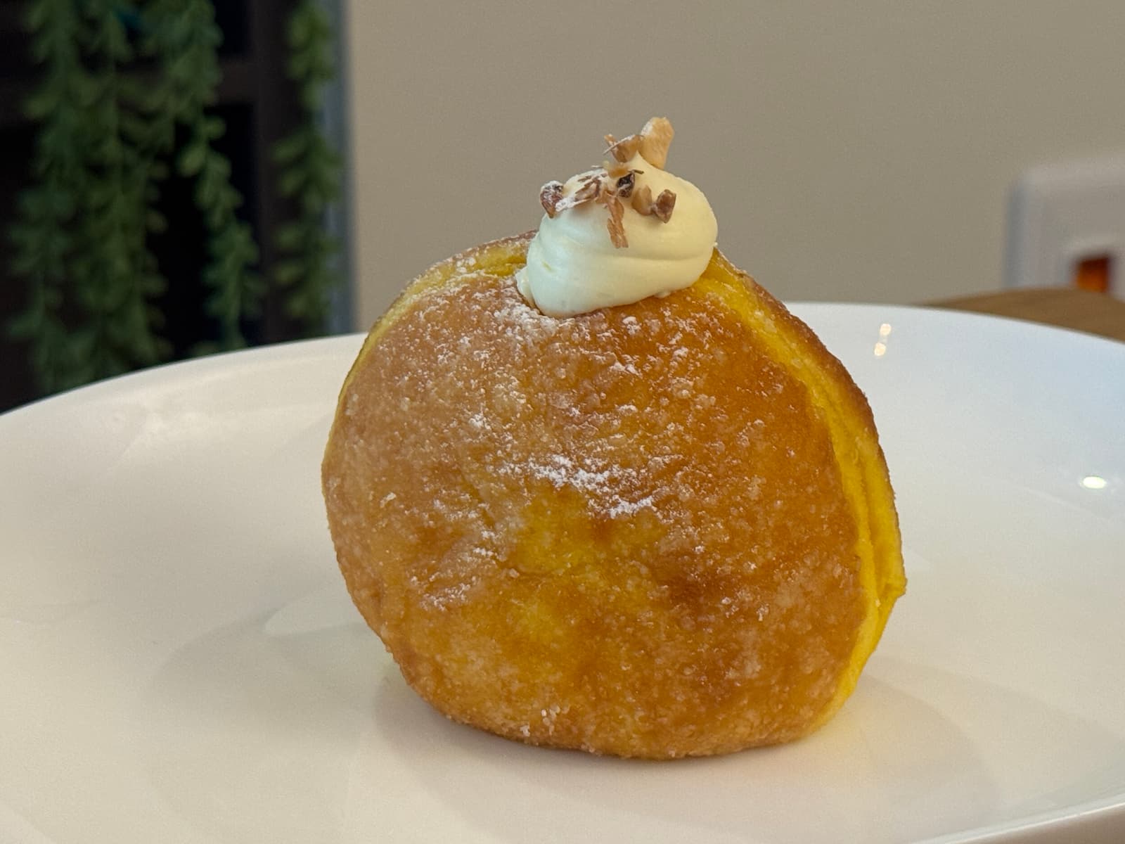 晴海フラッグ TRUFFLE DONUT CUSTARD（カスタード味）（はるみライフプラス）