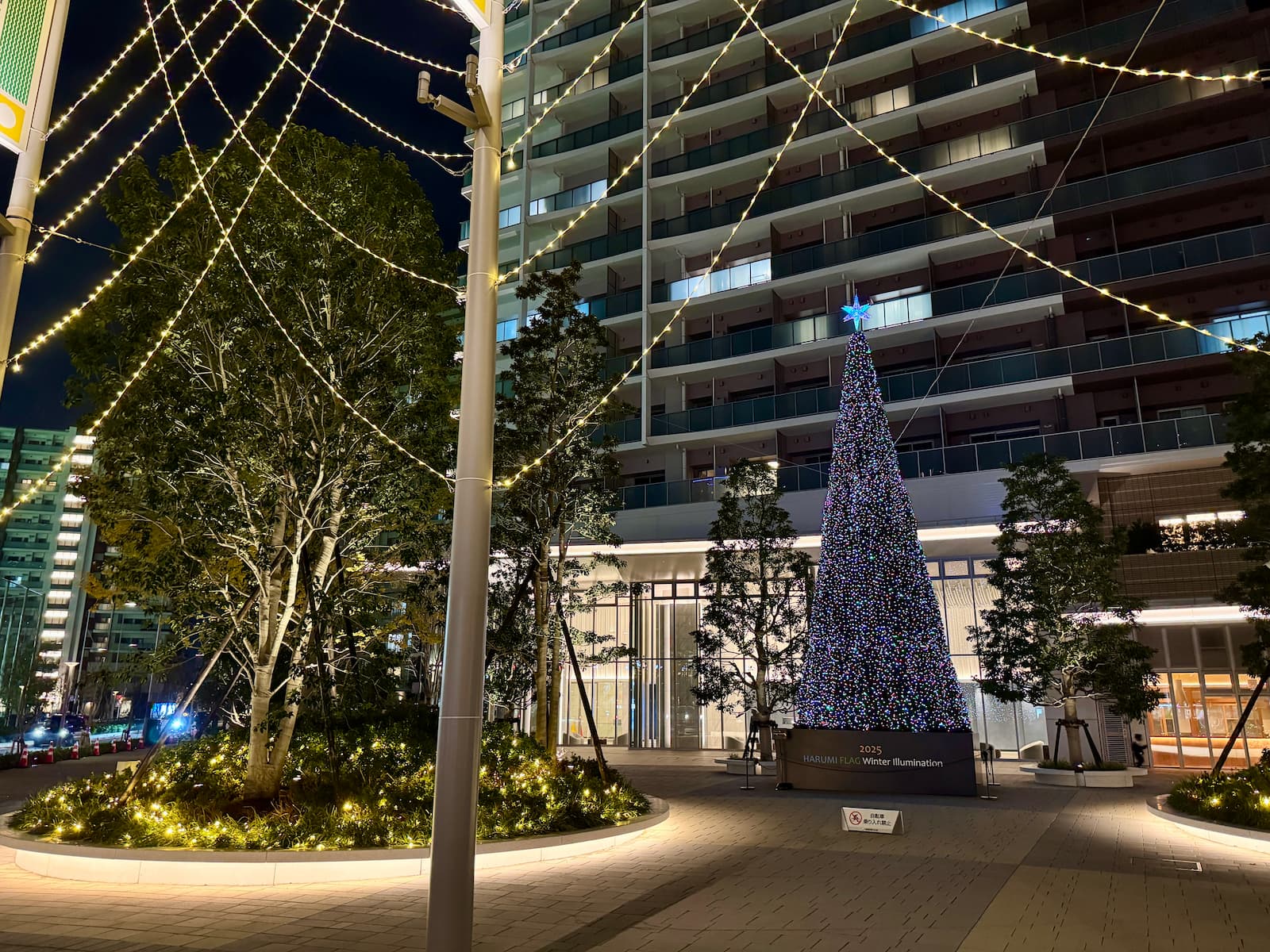 晴海フラッグ ハルフラクリスマスワンダーランドのクリスマスツリー〈夜①〉（はるみライフプラス）