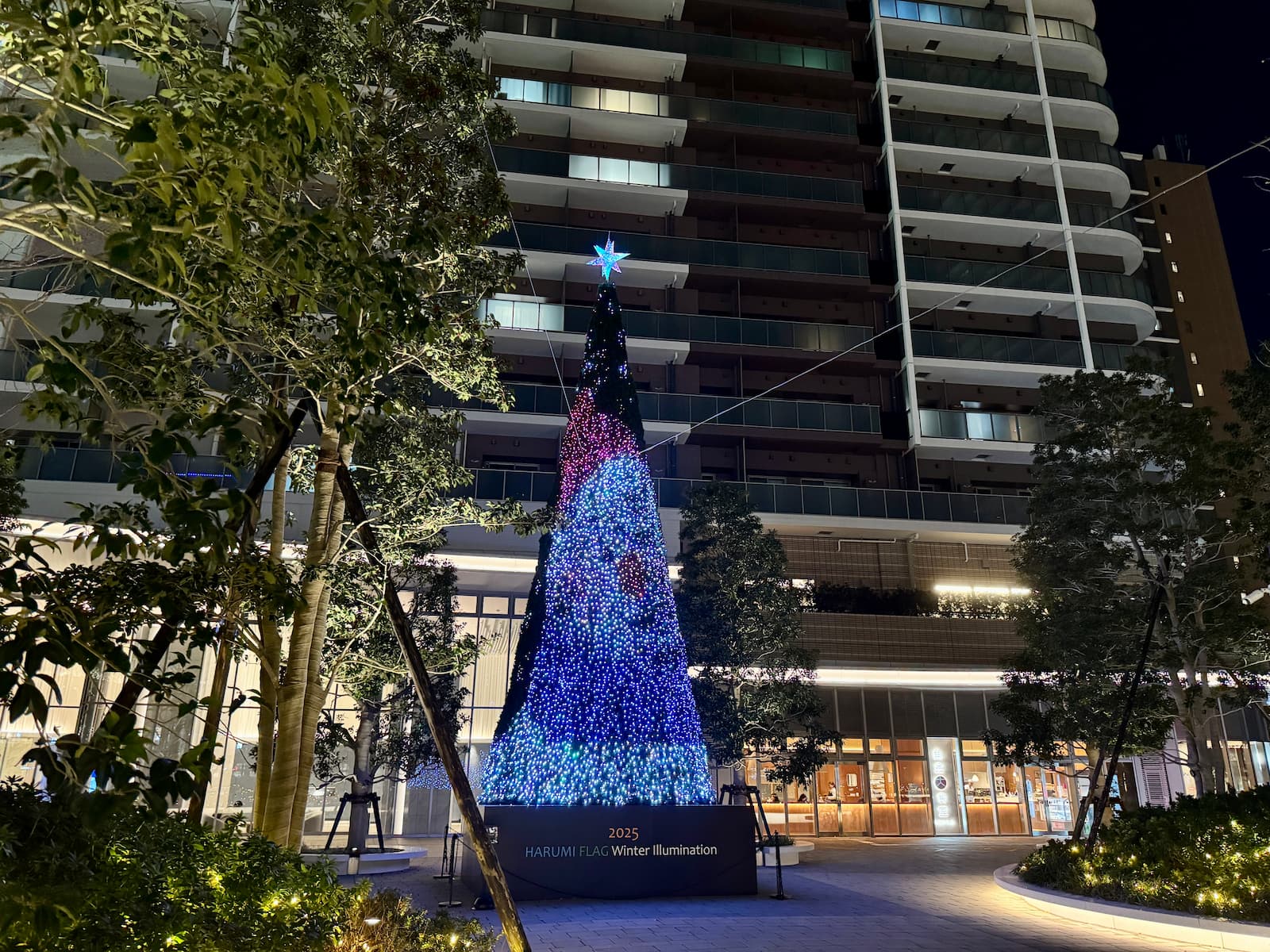 晴海フラッグ ハルフラクリスマスワンダーランドのクリスマスツリー〈夜➁〉（はるみライフプラス）